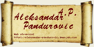 Aleksandar Pandurović vizit kartica